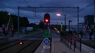 Spoorwegovergang DriebergenZeist  Dutch railroad crossing [upl. by Nylorac]