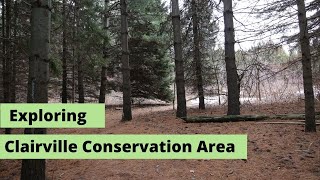 Exploring Claireville Conservation Area in Toronto [upl. by Tierza]