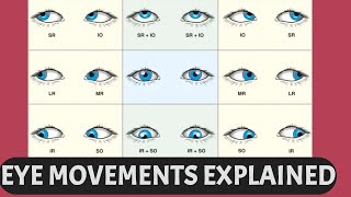 EYE MOVEMENTS EXPLAINED  Ductions versions vergence six cardinal gaze positions [upl. by Mikkanen]