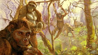 The First Hominins [upl. by Refinney]