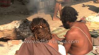 Hindu holy men or sadhus performing rituals Allahabad Kumbh Mela [upl. by Pfeifer]