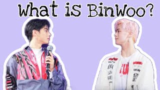 What is BinWoo [upl. by Krm91]