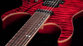 Ibanez Premium RG Series [upl. by Enaelem]