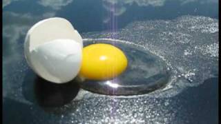 Cook an egg on a car [upl. by Euqimod]