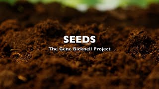 quotSeedsquot lyric video from The Gene Bicknell Project [upl. by Isaac]