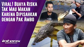 Buaya Riska Tak Mau Makan Karena Dipisahkan Dengan Pak Ambo [upl. by Gerard]