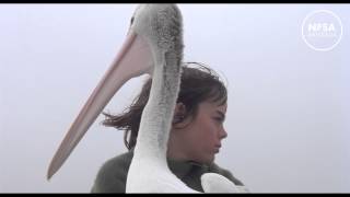 Storm Boy 1976  On the boat with the pelicans [upl. by Wulf]