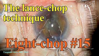 Eight chop 15 The lancechop technique [upl. by Reffinnej509]