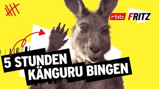 Alle Folgen von Neues vom Känguru reloaded  5 Stunden  MarcUwe Kling  KänguruChronikenStorys [upl. by Lilybel172]