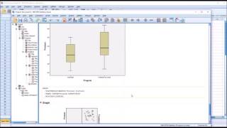 Testing the Assumptions for ANCOVA in SPSS including Homogeneity of Regression Slopes [upl. by Onailime90]