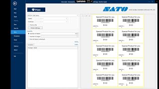 How to create multiple label in one page using NiceLabel [upl. by Hylton722]