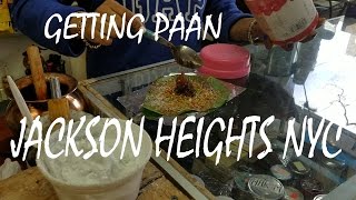 Getting Paan at Jackson heights NYC [upl. by Ahsitram4]