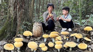 漫山遍野的奶浆菌，奶黄奶黄的，煎炒煮焖都超级鲜甜味美｜lactarius volemus【闽湖阿嬤Fujian Grandma】 [upl. by Atirahs]