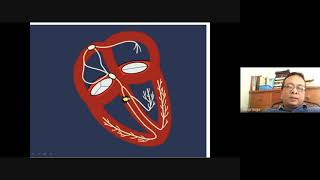 Bifascicular Block [upl. by Ailliw]