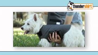 Thundershirt [upl. by Mehta]