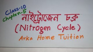 Nitrogen Cycle Envs  class 10 Life science chapter 5Biogeochemical cycle Bengali Education [upl. by Egduj301]