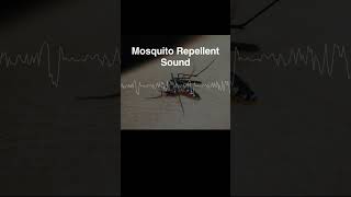 Mosquito Repellent Sound 17KHzRepelling dengue fever Zika fever and chikungunya fever [upl. by Yenruogis690]