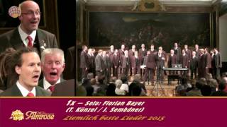 1x Die Prinzen Live  MGV Almrose Radenthein  Solo Florian Bayer  Minoritensaal Graz  2015 [upl. by Clerk]