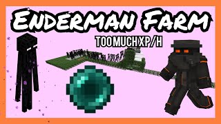 Enderman Farm 112  117 2021 [upl. by Llenra]