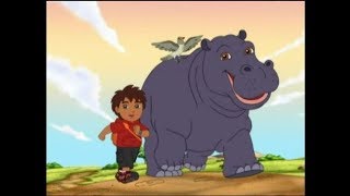 Go Diego Go  Diego Reunites Hippo [upl. by Alidia467]