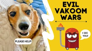 Talking Corgis Go To WAR With EVIL DRAGON VACUUM dogs [upl. by Materi]