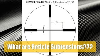 What are Reticle Subtensions [upl. by Jaunita]