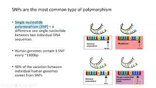 GenomeWide Association Studies GWAS Part 1 [upl. by Ailec786]