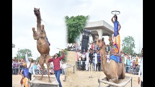 छज्जे ऊपर बोयो री यबाजरो खिल गयो फूल चेमेली को  Chajje upar Boyo Ri Bajro khil by Bhawar Khatana [upl. by Frederiksen]