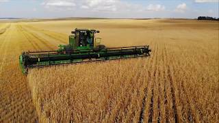 Swathing Wheat Harvest 2018 [upl. by Prosser]