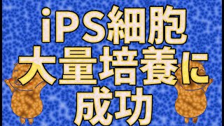 iPS細胞大量培養に成功 [upl. by Treb]