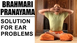 Brahmari Pranayama  Ultimate Solution For Ear Problems [upl. by Kcirdorb222]