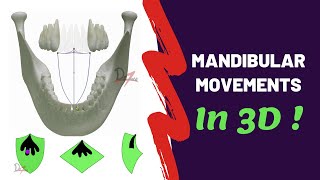 Mandibular Movements in 3D  SUPER EASY [upl. by Kired]