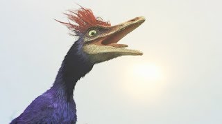 Ce petit dinosaure survit grâce à son cri rahonavis  ZAPPING SAUVAGE [upl. by Sankey]