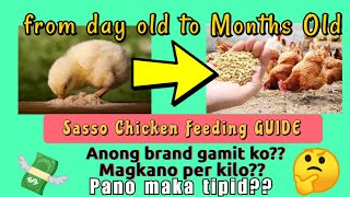 SASSO FEEDING GUIDE FROM DAY OLD TO 1 MONTH  Free range Chicken [upl. by Brathwaite389]