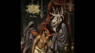 Melodic Death Metal 2022 Full Album quotOPHIDIAN MEMORYquot  The Stag [upl. by Fulviah]