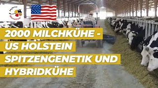 2000 Milchkühe  USHolstein Spitzengenetik und Hybridkühe  unser Video zur EuroTier aus den USA [upl. by Uriia]