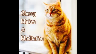 Fun Bedtime Story For Kids  Heidi Cherry amp Vaya Make a Meditation [upl. by Arayk]