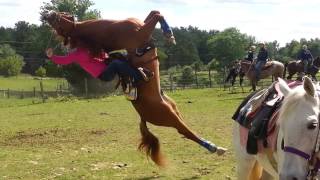 Horse flips on rider [upl. by Suiravad]