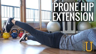 Prone Hip Extension  Kinetic U Exercise Series [upl. by Darraj490]