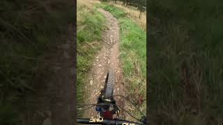 Smells Like Tweed Spirit Glentress MTB Trail Part 4 [upl. by Lombardy]