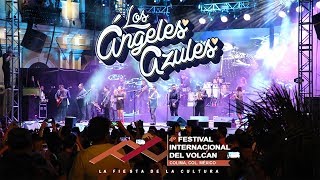 Los Ángeles Azules  Volcán Fest 2019 [upl. by Yale178]