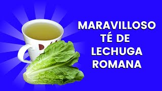 BENEFICIOS Medicinales Del TE De LECHUGA ROMANA Características🥬 COMO Preparar Te De LECHUGA ROMANA [upl. by Bishop]