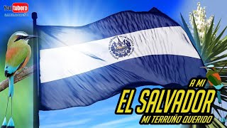 PATRIA QUERIDA🇸🇻 con canción de ÁLVARO TORRES de EL SALVADOR🇸🇻 Youtubero Salvadoreño [upl. by Ettolrahs]