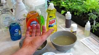 How to Make Soapy Water Garden Insect Sprays The Recipe Use amp Soap Selection  DIY Ep3 [upl. by Edbert]