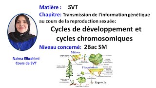 Cours SVT 2Bac Biof Transmission de linformation génétique  Cycle de développement chromosomique [upl. by Sybil584]