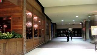 Downtown Ottawa Rideau Centre Mall [upl. by Caritta]