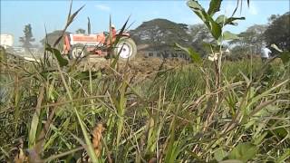 Maung Russey Junior High School  1st phase in making the field for sport activities [upl. by Madson]