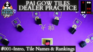 PAI GOW TILES  INTRO  Tile Names How The Game Works Setting Hands Houseway Practice Drills 001 [upl. by Olmstead]