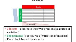 Lecture 19 Experimental Designs RCBD Randomized Complete Block Design ANOVA Two Way ANOVA [upl. by Ishii]