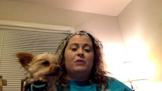 Review of K9 Bark Collar For Small Dogs [upl. by Airuam720]